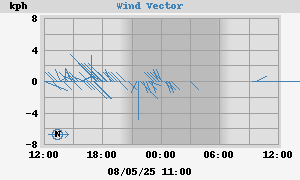 Wind Vector