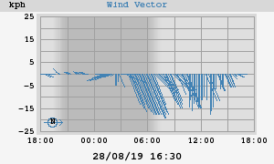 Wind Vector