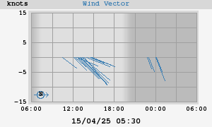 Wind Vector