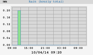 rain
