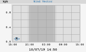 Wind Vector