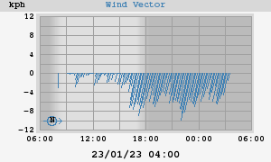 Wind Vector