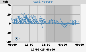 Wind Vector